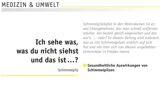 Artikel zu Schimmelpilzen